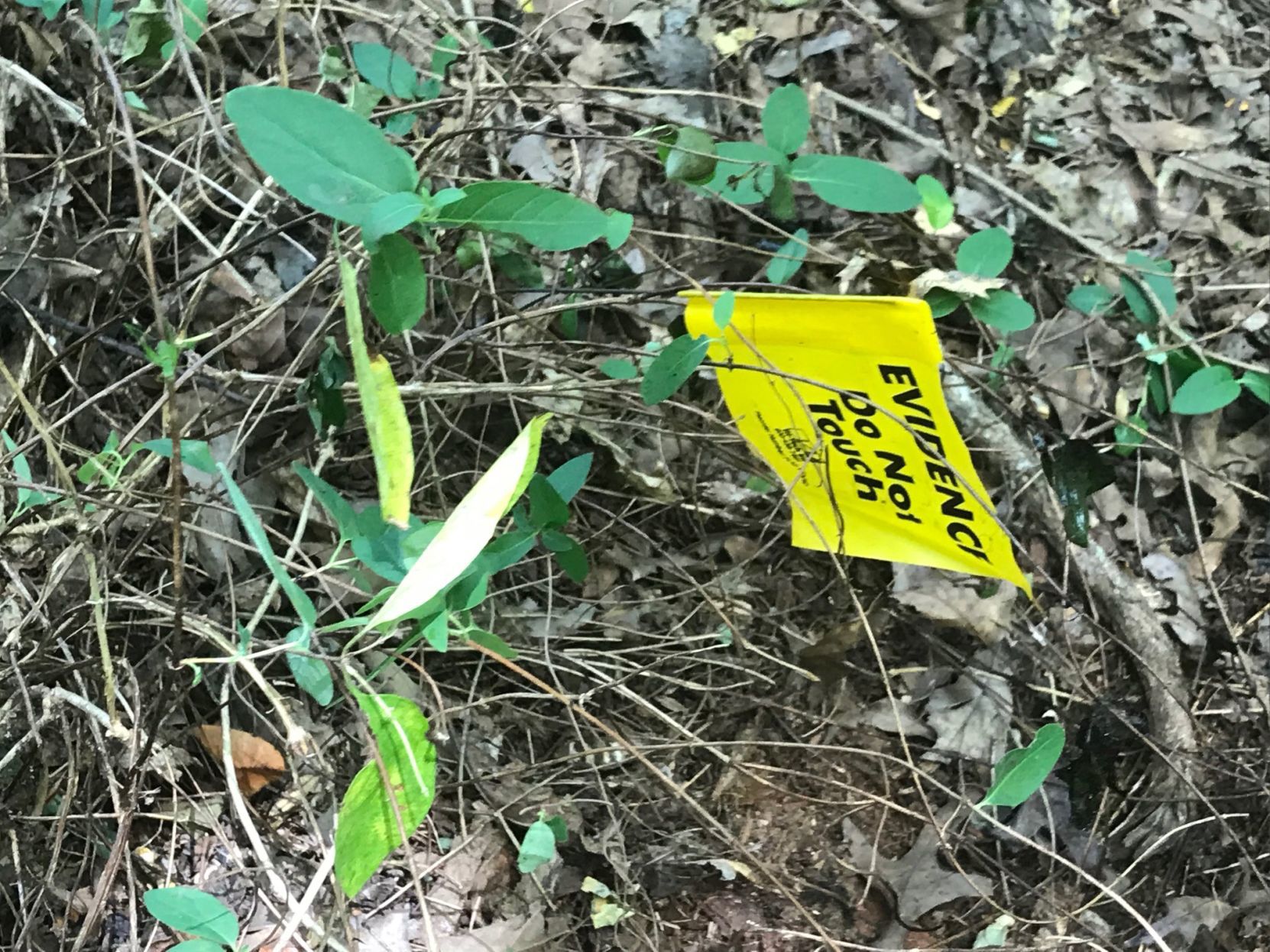 Crime scene